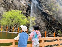 -少华山国家森林公园