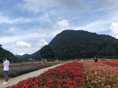 -广州市石门国家森林公园