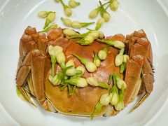 -荷风细雨·中国茶宴(碧云店)