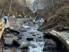 -凤凰山国家森林公园