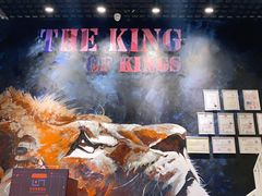 -SAH健身私教工作室(紫东店)