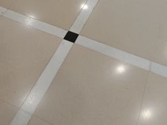 -荷花泰菜(东方新天地店)