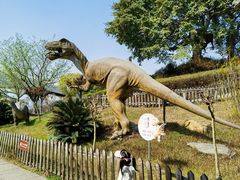 -自贡恐龙博物馆