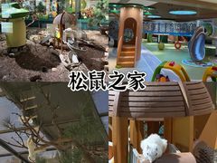 -佛冈森波拉度假区