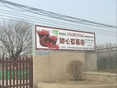 -甜心庄园·甜心草莓采摘园(西青中北店)