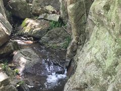 -木兰云雾山