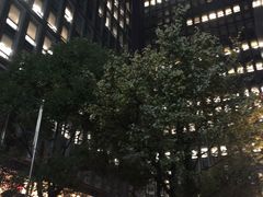-陆家嘴世纪金融广场