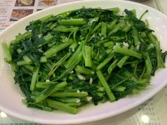 蒜蓉空心菜-澳门陈光记烧味饭店(郎家园店)