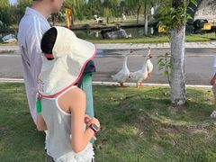 -木兰水镇旅游景区
