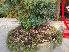 -昆山城市生态森林公园