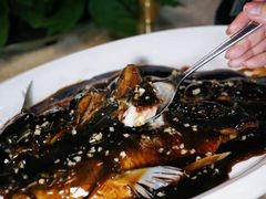 -山外山菜馆(玉泉路店)