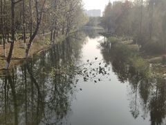 -洋湖国家湿地公园