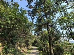 -青龙山国家森林公园