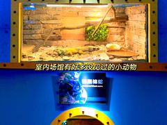 -大连老虎滩海洋公园