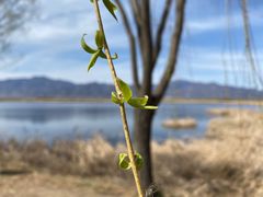 -野鸭湖国家湿地公园