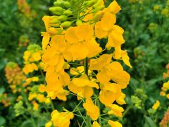 -中国天府农业博览园