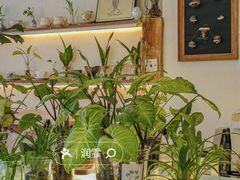 -绿小院(荔湾店)