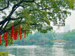 -荔湾湖公园