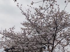 -东湖磨山景区