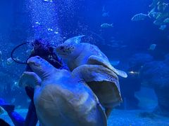 -左海海底世界