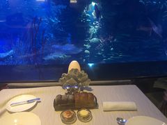 -迪拜帆船酒店海底餐厅