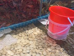 -港畔赶海蒸汽海鲜烧烤自助(仙螺岛店)