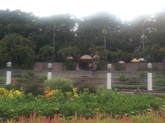 -九龙公园