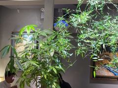 -本处·素食·融合料理(南油店)