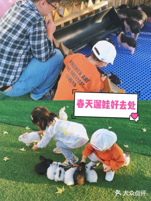 萌宠亲子动物乐园(槐房万达店)图片