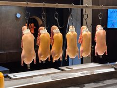 -秀儿四九城·新京菜(亚运村鸟巢店)