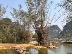 -靖西鹅泉风景区