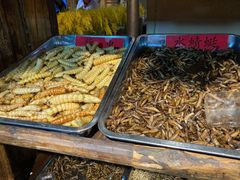 -昆虫窝子·特色云南菜(拓东路总店)