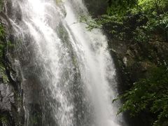 -藏龙百瀑风景区