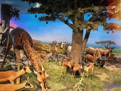 -国家自然博物馆