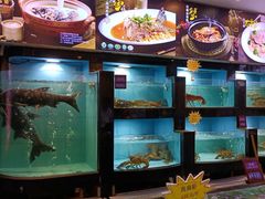 水产区-莞香楼·正宗东莞菜(东升店)
