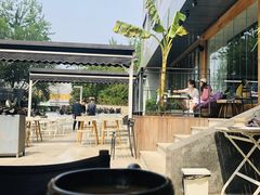 -the rug 飞毯 (朝阳公园店)