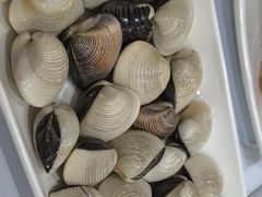 -凯盈阁私房菜·桑拿鸡(绿茵花园店)