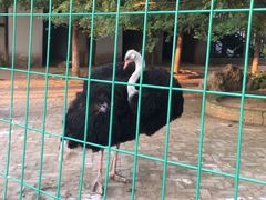 -武汉紫薇都市田园