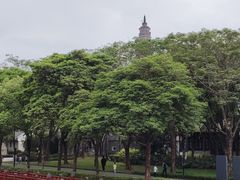 -顺峰山公园
