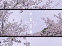 -高东镇樱花园
