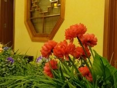 -吾味香葫芦头(安西街店)