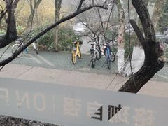 -梅园食堂