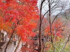 -崂山巨峰游览区