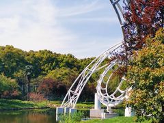 -上海共青森林公园