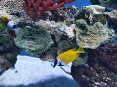 -海合安武汉极地海洋公园