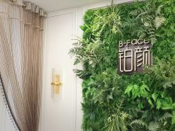 点击看大图 -铂颜形象