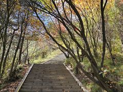 -塔云山