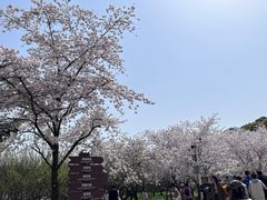 -苏州上方山国家森林公园