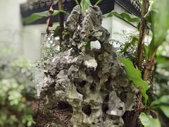 -上海醉白池公园