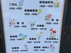 -径山花海
